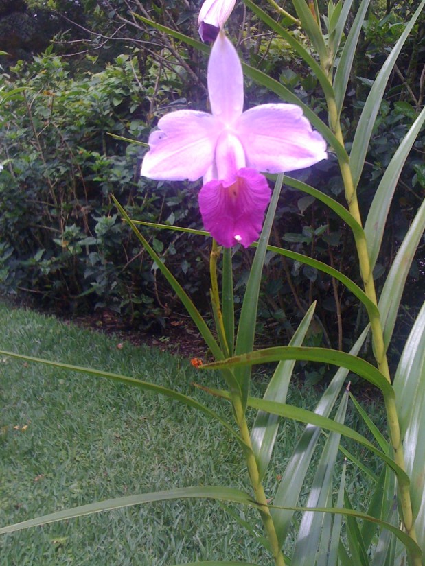 En Caso de Incendio&nbsp;–>