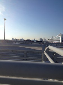 Cruise Ships At Port Everglades