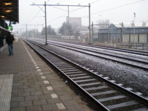 2105_1080830855824_8397_n