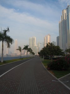 Morning Walk, Wednesday