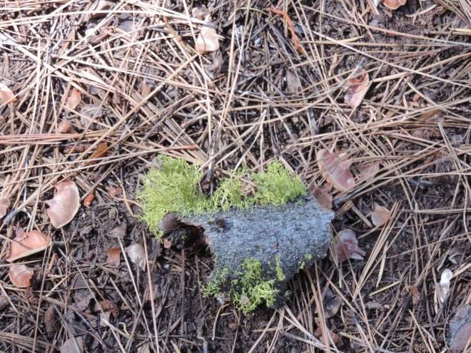 Life Will Not Take No For An Answer