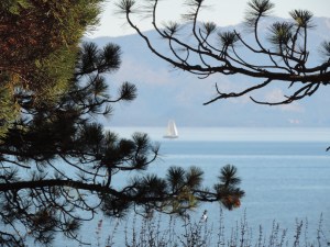 Tahoe Lake With Low Wind