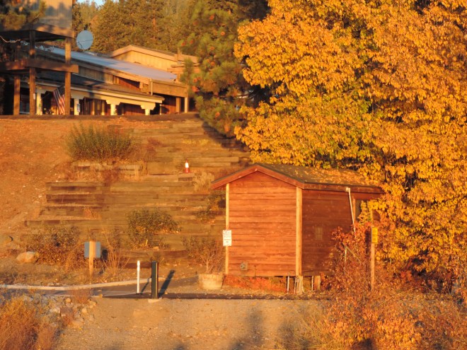 So It Glowed Like Burnished Treasure