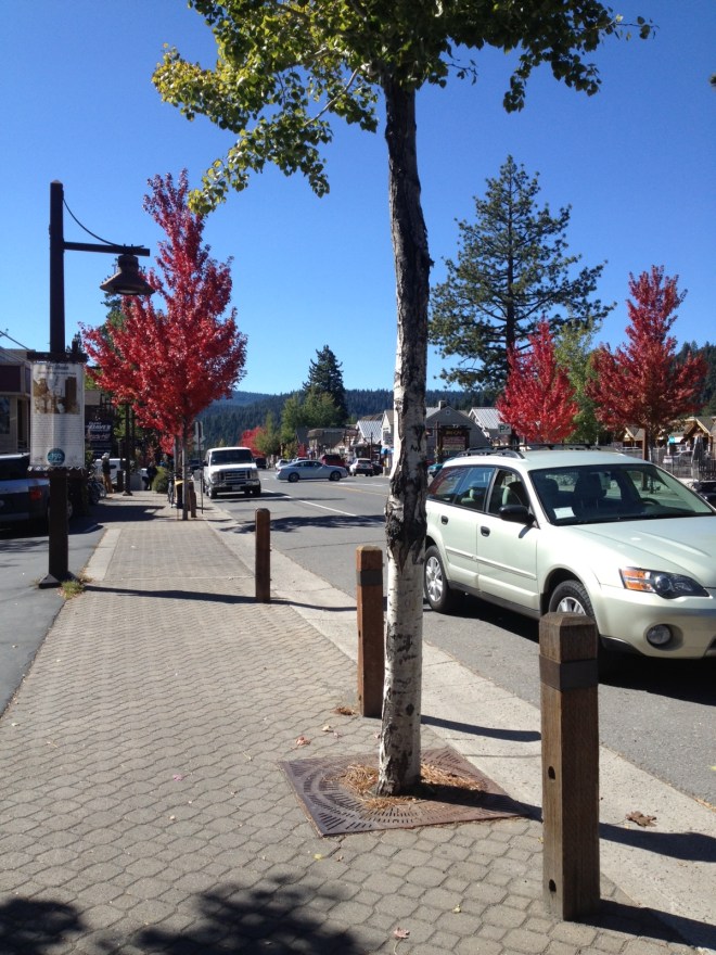 Even Through A Sinus & Ear Infection, Awed By An Autumn Day