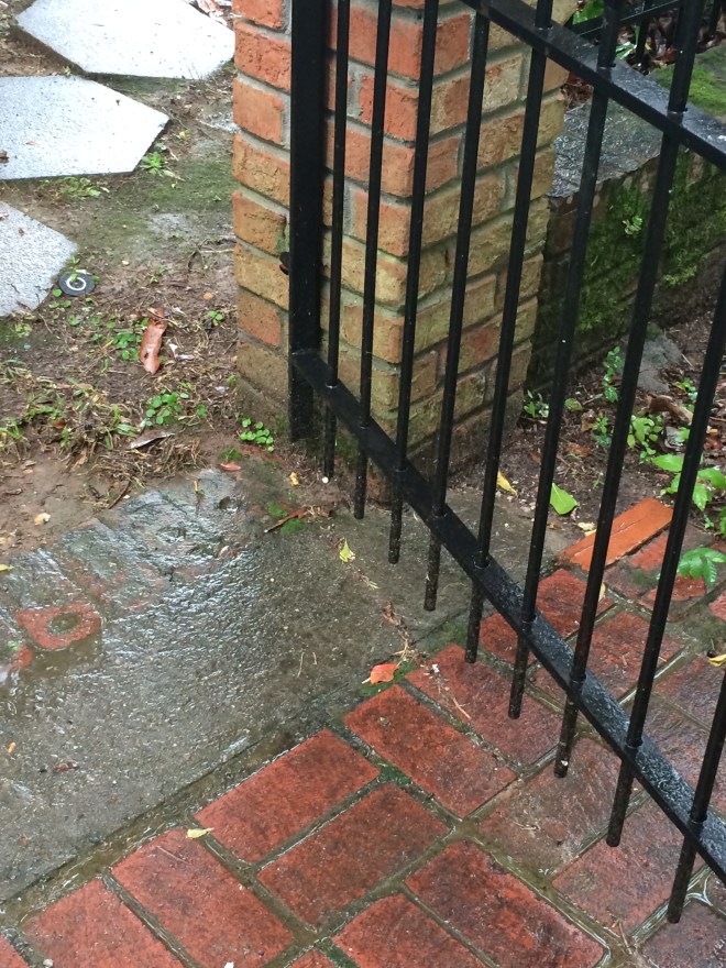 It's the Colors That Are So Beautiful They Break My Heart