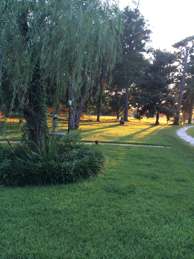 Front lawn of la finquita at dusk