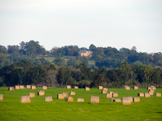 Hundreds of Bales