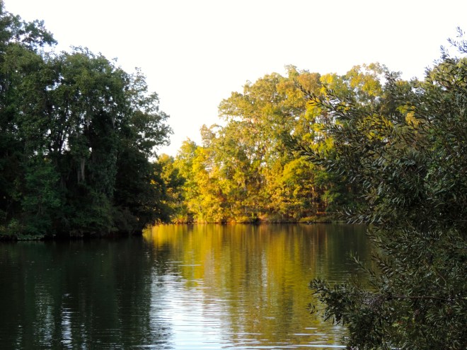Back waters of the Alabama River, Holy Ground Battlefield Park