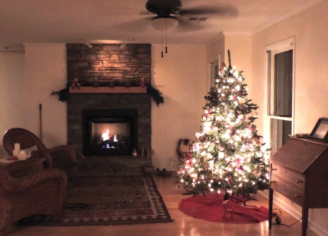 The Christmas tree is up