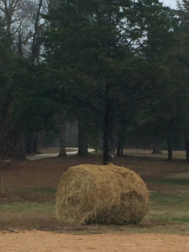 The bales start looking worn out