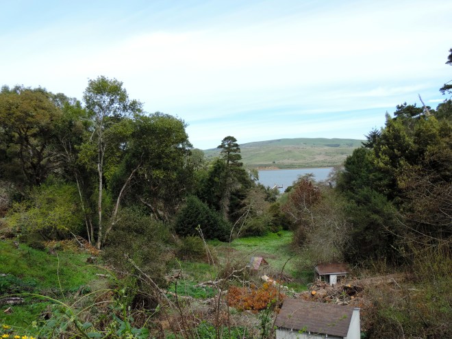 Tomales Bay from St Columba Church and Retreat Center in Inverness, CA