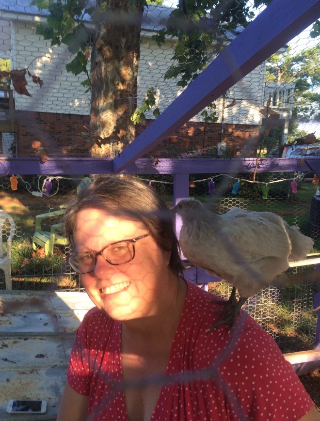 Bengta, my lavender Orpington