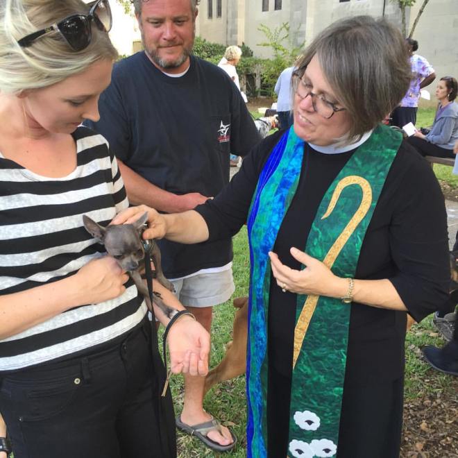 Picture by Amber Jernigan